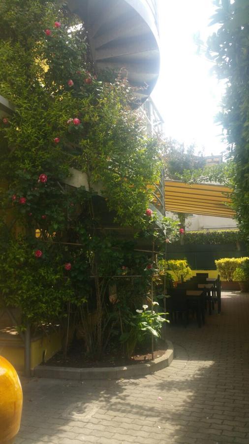 Hotel Illi Marina di Massa Εξωτερικό φωτογραφία